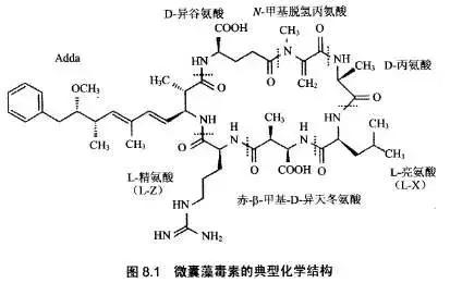池塘里的蓝藻怎样去除掉,池塘处理蓝藻最好的办法