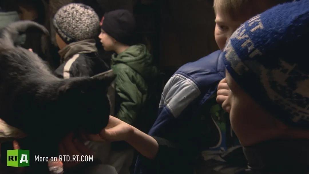 流浪猫突然暴富了,俄罗斯3只流浪猫