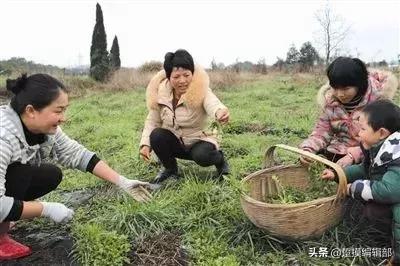 东北人聊天有多搞笑,东北人骂架搞笑视频