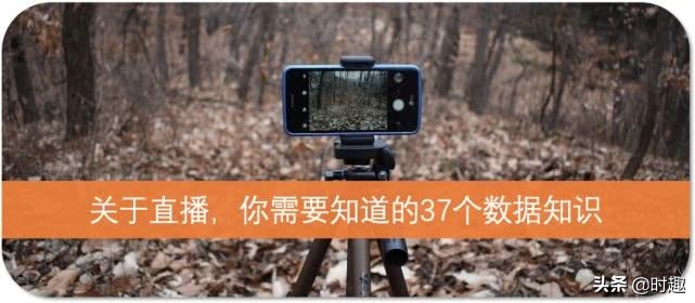 一篇文章看懂陶瓷,一篇文章看懂美国和以色列