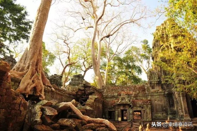 第一次去柬埔寨旅游会被盘问,第一次去柬埔寨工作带什么