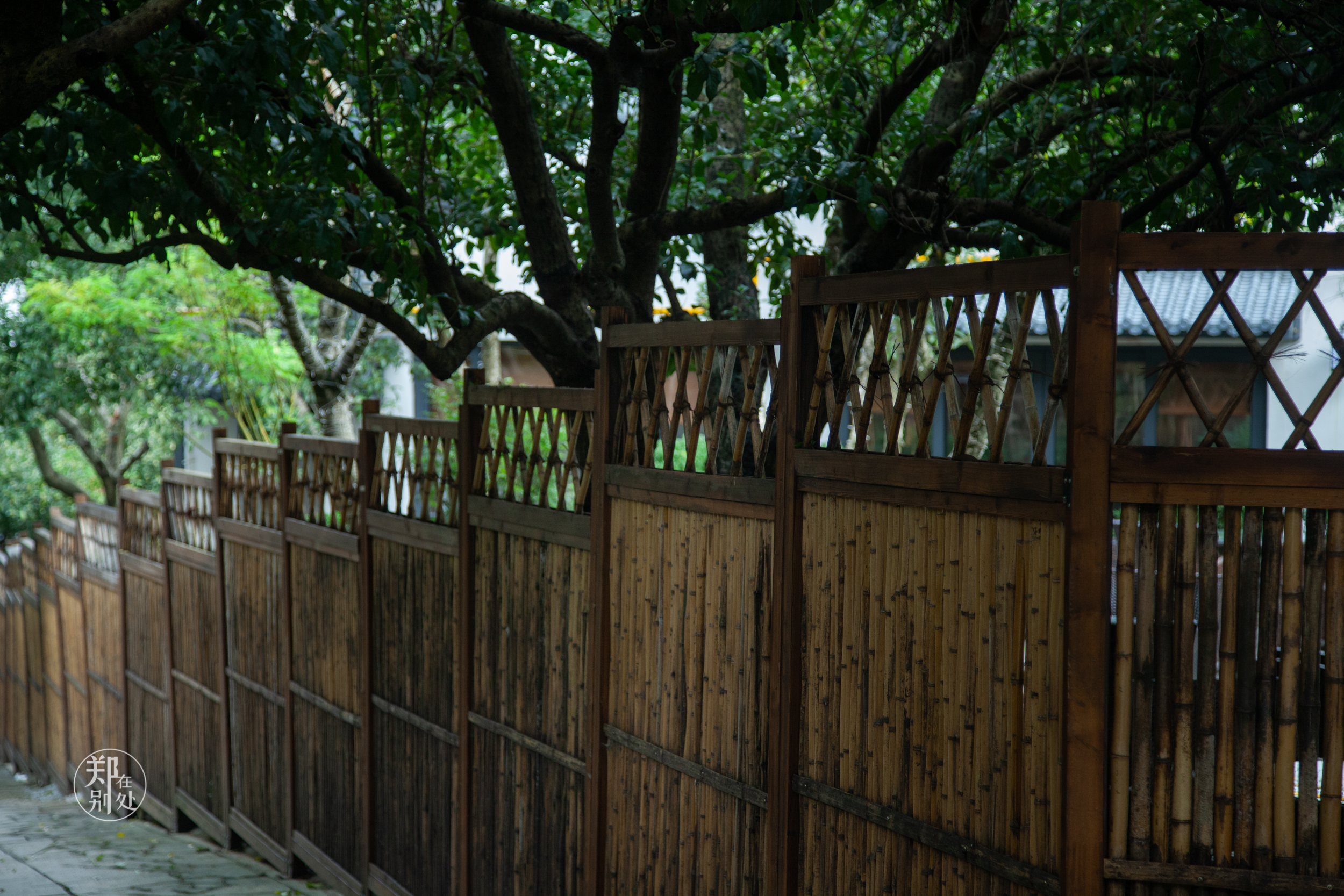 坐公交游杭州几路最好,杭州87路公交沿路风景