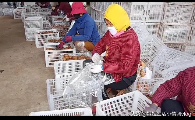 陕西眉县撤县最新消息,眉县撤县设市最新信息