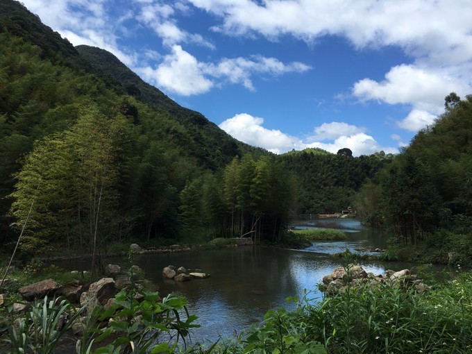 广州从化溪头村一日游出游攻略,从化溪头村自驾游攻略视频
