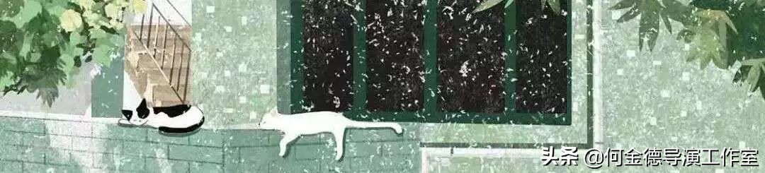 一位女大学生的家教心得：《我的家教之路与一些小建议》