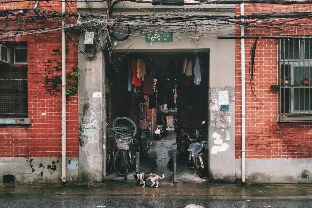 市井生活的真实感受,市井人生的真实生活
