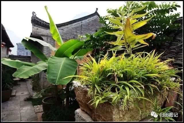 老外在桂林民宿,外国人在桂林开了个民宿