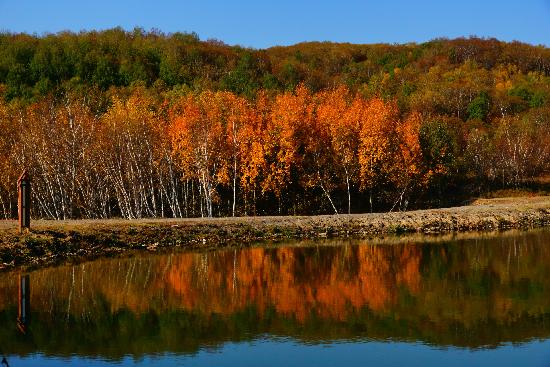 京北第一天路千松坝国家森林公园,千松坝森林公园和京北第一天路
