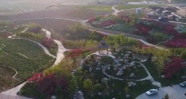 在大连去旅顺华酝牡丹园坐什么车,大连旅顺华酝牡丹园几月份适合去