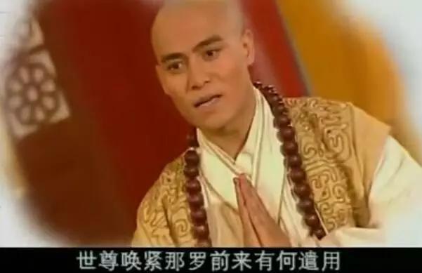 西游记后传一共鬼畜多少集,西游记后传1-30集无鬼畜版