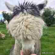 泰国旅游推荐旅游路线,泰国旅游攻略自由行路线推荐