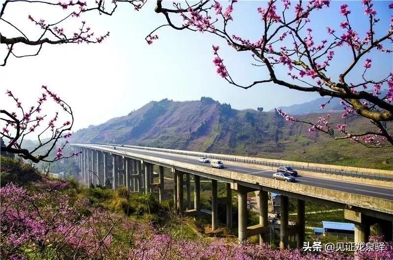 龙泉驿区最新交通消息,龙泉驿交通最新规划