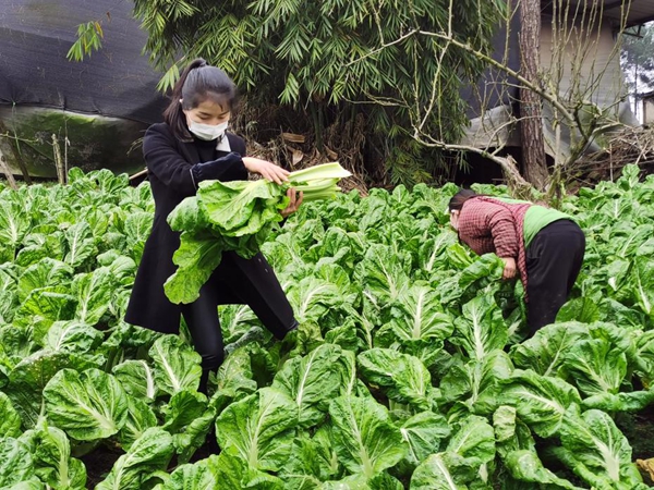 海源物业巴南分公司,重庆海源物业公司