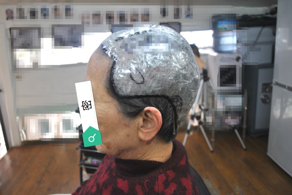 遮盖白发假发真发,遮白发神器假发无刘海