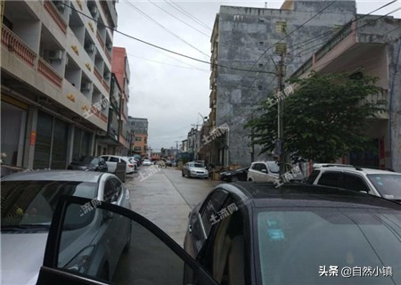 大学生农村创业好项目推荐,大学生创业计划书农业