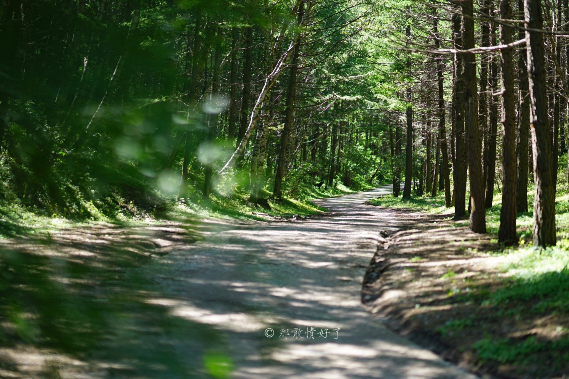 北京北部看红叶自驾线路推荐,冬季京西自驾游最佳线路