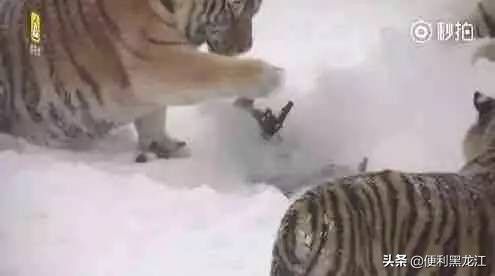 30绉掑甫浣犱簡瑙ｉ粦榫欐睙,甯︿綘浜嗚В榛戦緳姹熷悇涓競