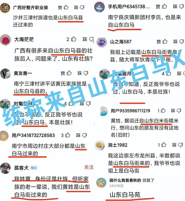 南宁白马后裔寻根新思考,南宁白马后裔寻根