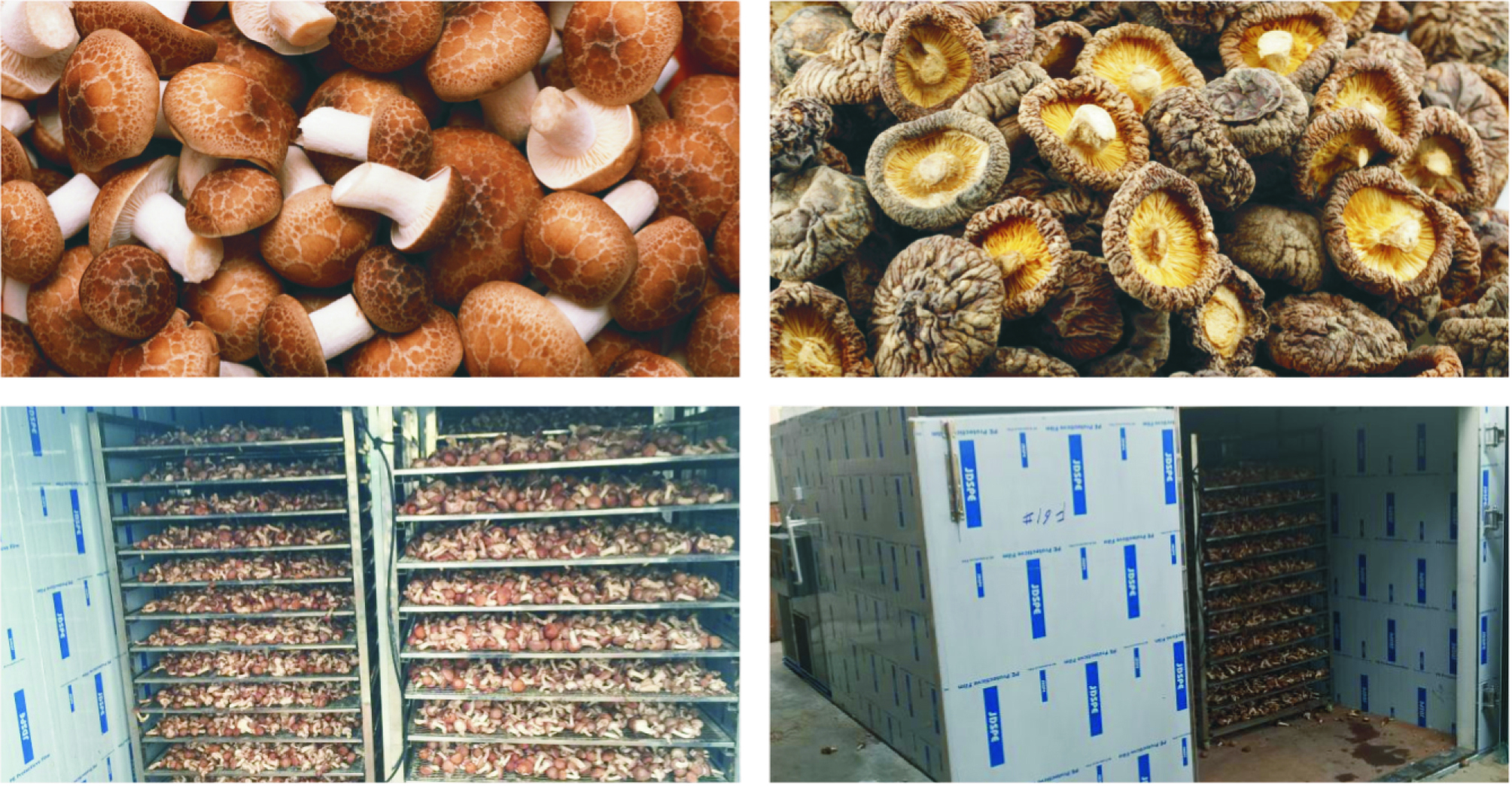 食品烘干设备,食品用烘干机器