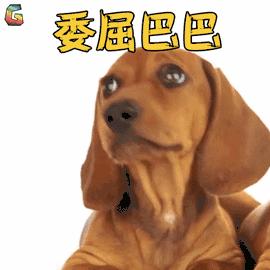 涓轰粈涔堝ザ濂跺彨grandma,鑰佸ザ濂跺彨grandma