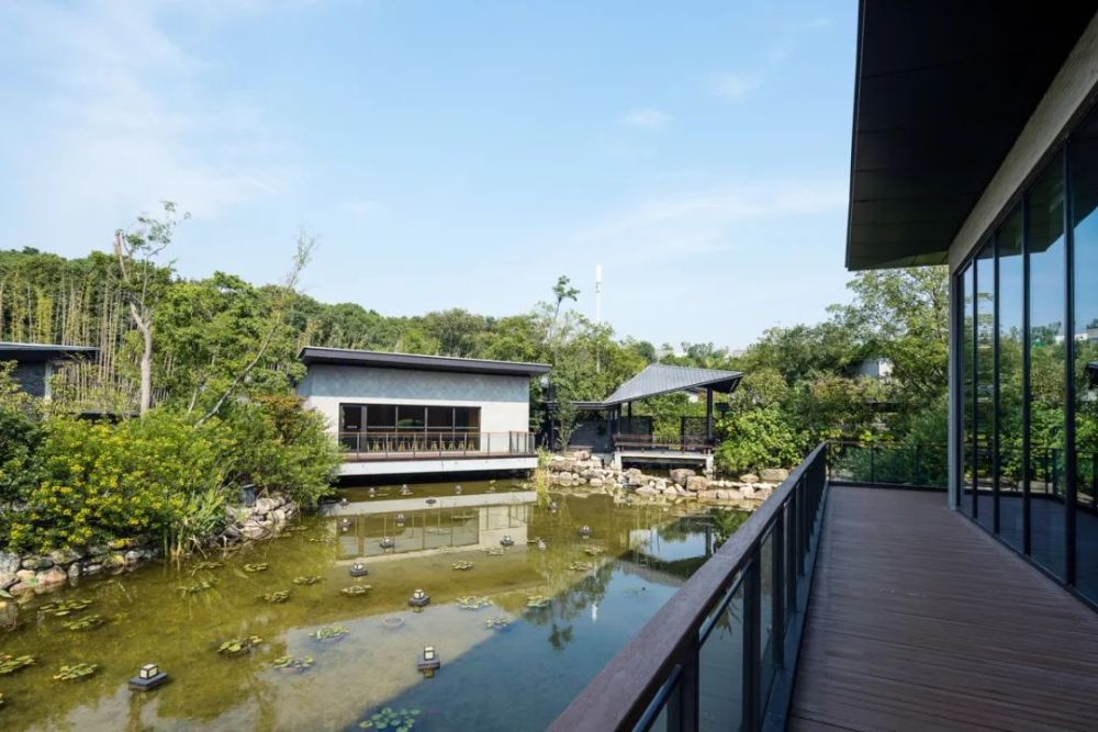 沉醉山水间，自然古朴，苏州裸心泊度假村，金螳螂匠心之作