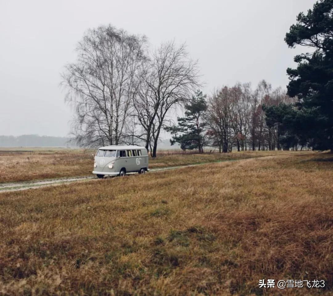 被举报的韩国代购,韩国代购被举报了吗