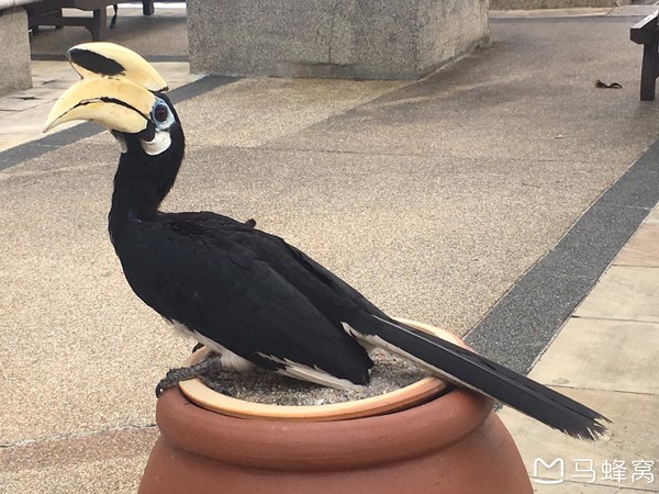 绿中海娱乐会所,绿中海旅游
