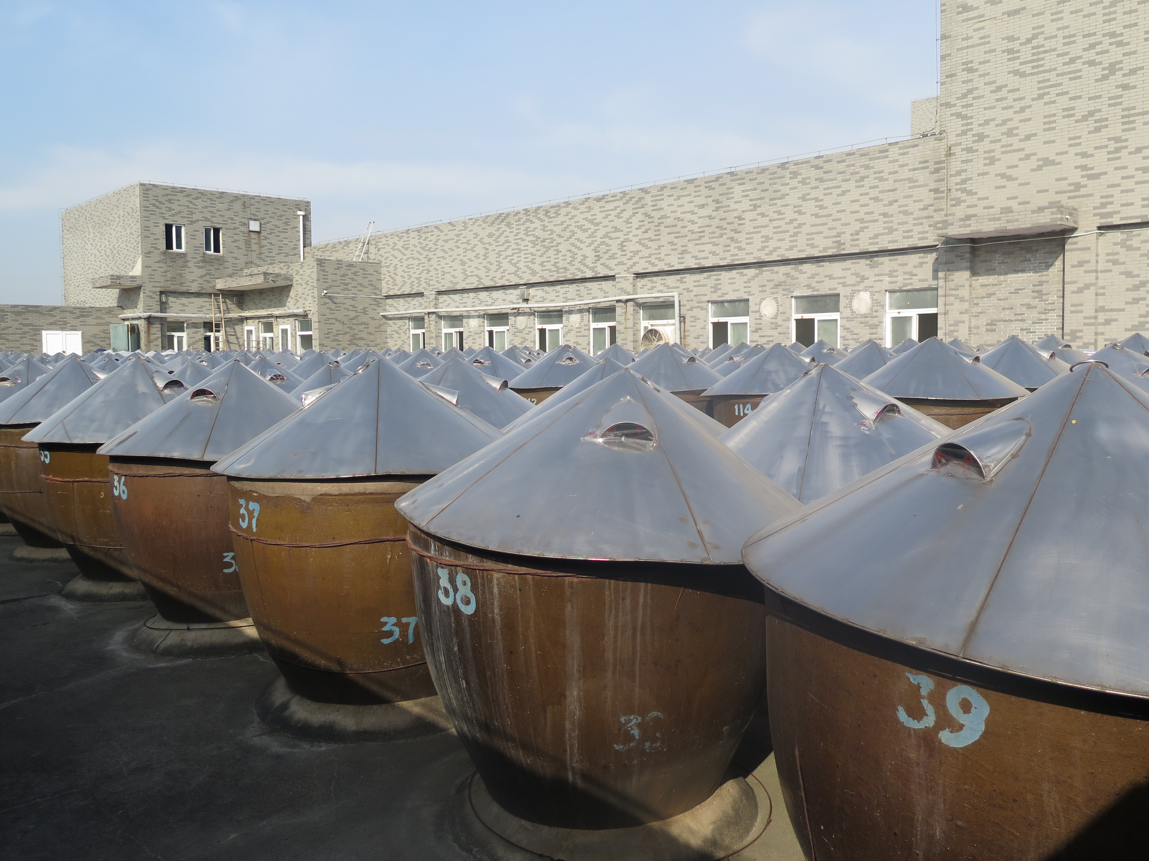 罕见缸养鱼,晒酱专用大缸