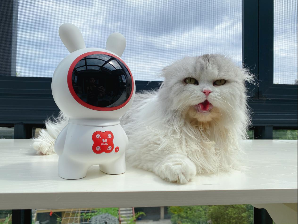 鍏竴鍎跨鑺傜ぜ鐗╂棭鏁欐満,鍏竴鍎跨鑺傛棭鏁欐満