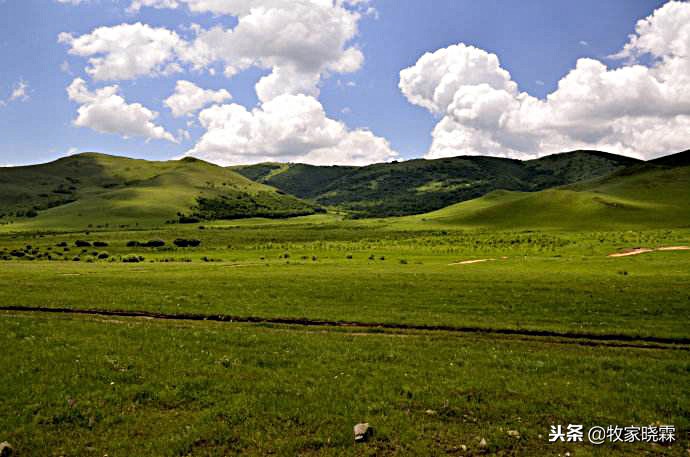 内蒙羊肉好还是宁夏羊肉好,内蒙羊肉哪的好吃