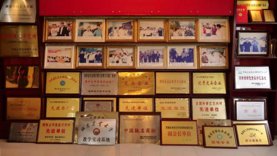 湖南饲料大王：辞去铁饭碗创业，如今公司年产值超4亿