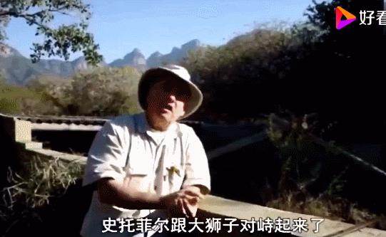 平头哥的传奇记录,平头哥的一生故事