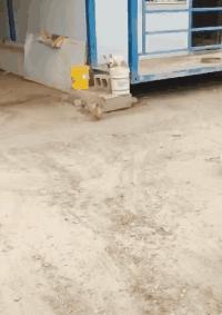 刚从后院挖出来的,大家帮我鉴定一下,我是不是要发财了?