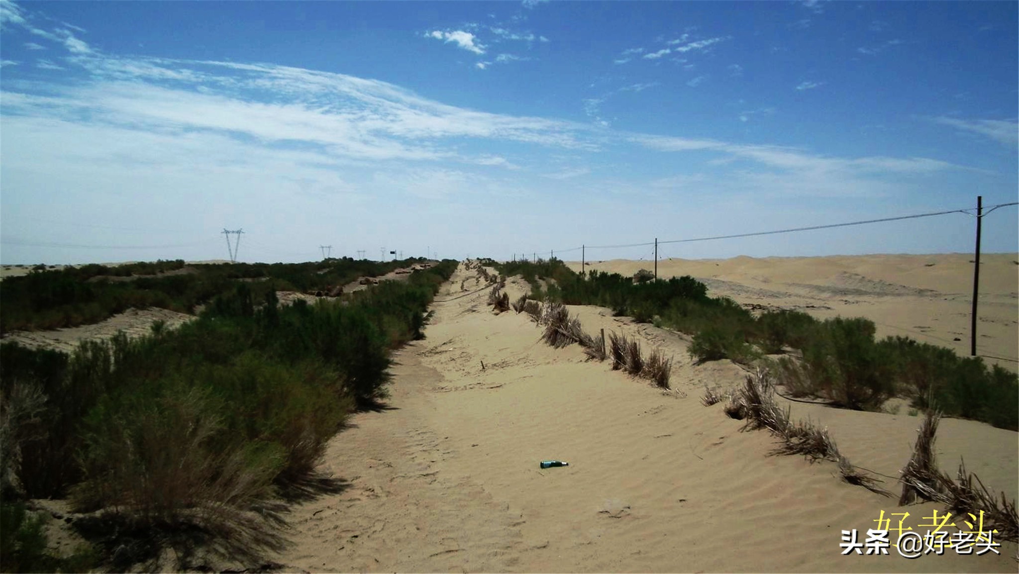 库尔勒轮台胡杨林风景区,胡杨林景区轮台