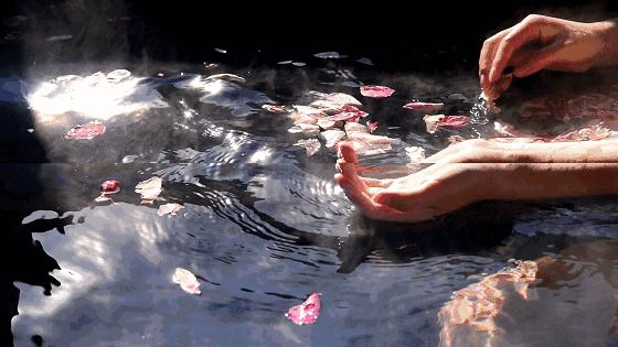 太白山凤凰温泉度假酒店温泉,太白山凤凰温泉酒店五一