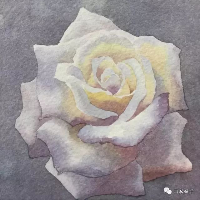 100种漂亮花卉图片,100张漂亮花图