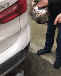 这只鹦鹉一直以为他是一只猴,所以每天都在重复做这个动作