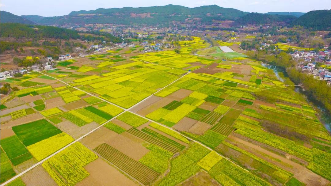 农村集体化土地是谁的,城镇化后农村的土地