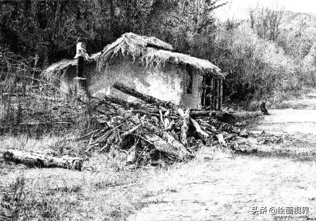 不会画就别学,不会画素描写生