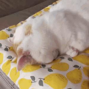 好看的马丁靴穿搭推荐 (30套秋冬马丁靴搭配图片大全)