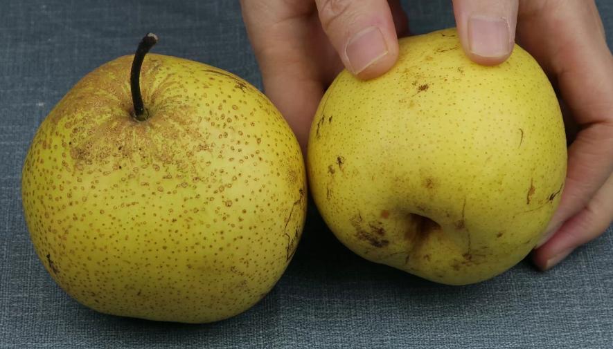 买的梨如何保鲜,买的梨子不氧化是怎么回事