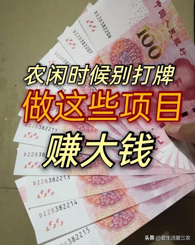 农闲时除了喝酒打牌,还可以做这些项目,收入高且长期有收入