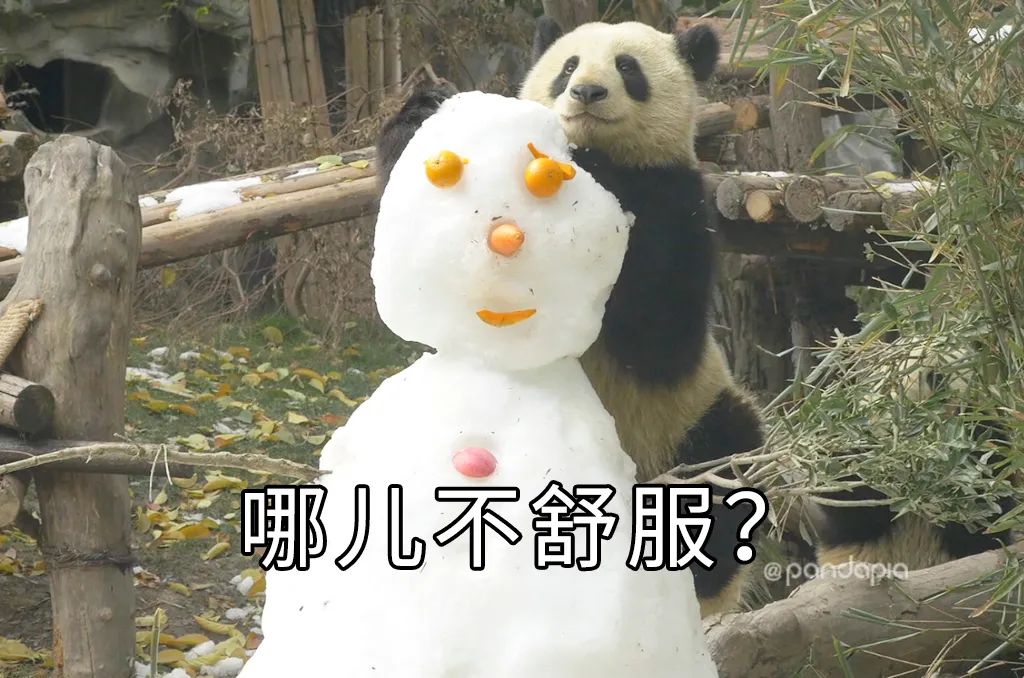 只要肯努力丑小鸭也能变成白天鹅,只要肯努力可以逆袭吗