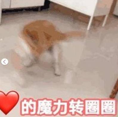 文明6steam恐怖游戏,孤岛惊魂6steam年度游戏版