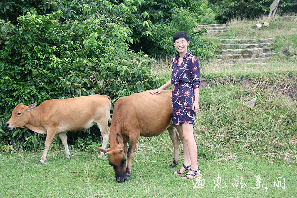 若能驾车上岛，上下川岛将成为广东最有竞争力的海岛？附游记攻略