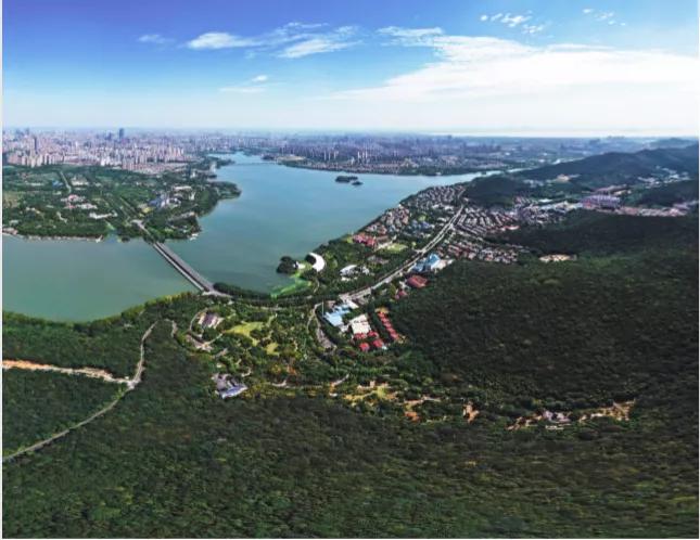 无锡孙志亮,孙志亮无锡