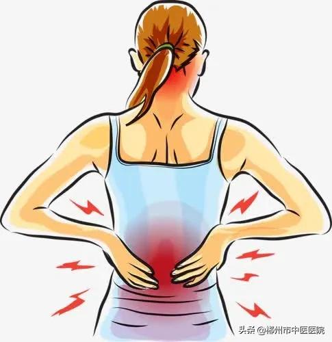 小护腰,小护肩护腰