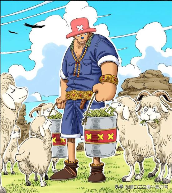 海贼王版《金刚》上映,娜美一个举动令人色变!路飞居然外借草帽