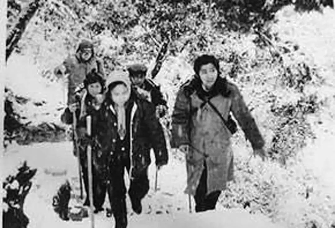 朱琳早期旧照 (朱琳一生未嫁人的原因)