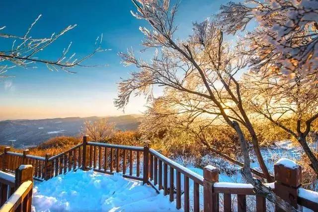 河南省春节旅游免门票景区 (春节河南6大景区半价)